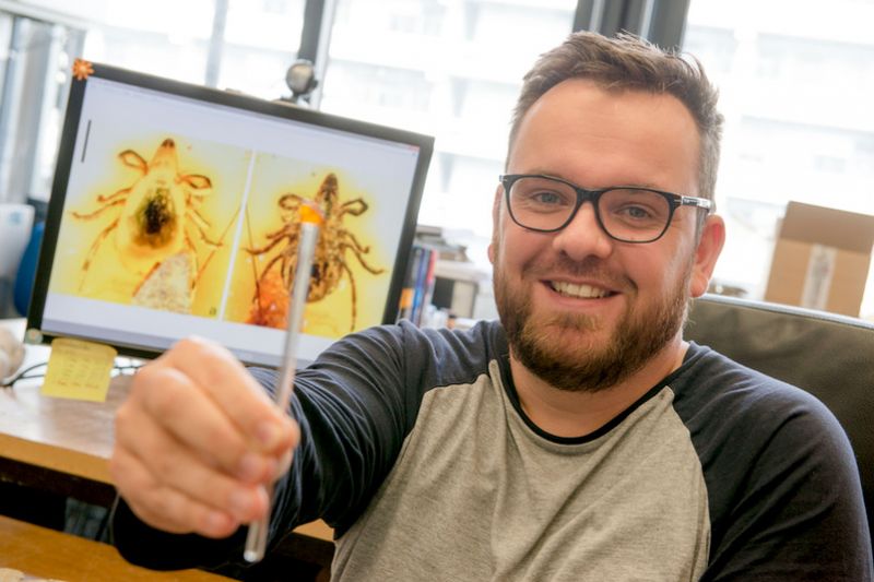 Hoffmann-Photo