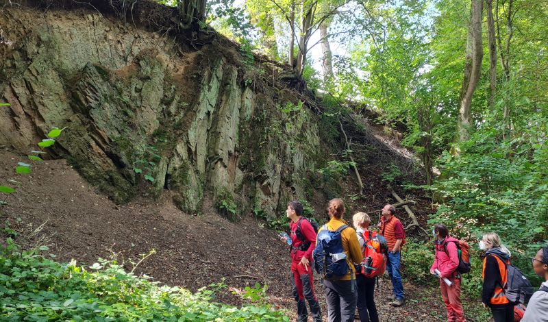 Exkursion in den Harz (Regionale Geologie und Rohstoffe)
