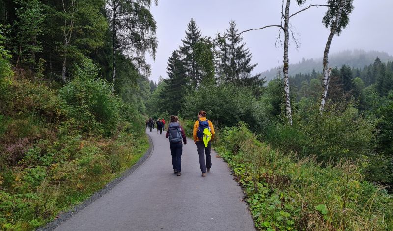 Exkursion in den Harz 2021 (Regionale Geologie und Rohstoffe)