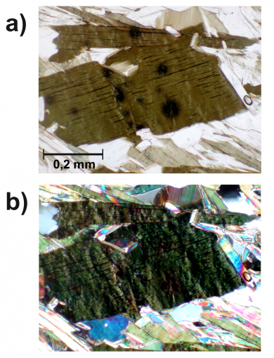 Dunkler Biotit-Hornblende Gneis Abb.1