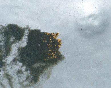 Fine gold flakes