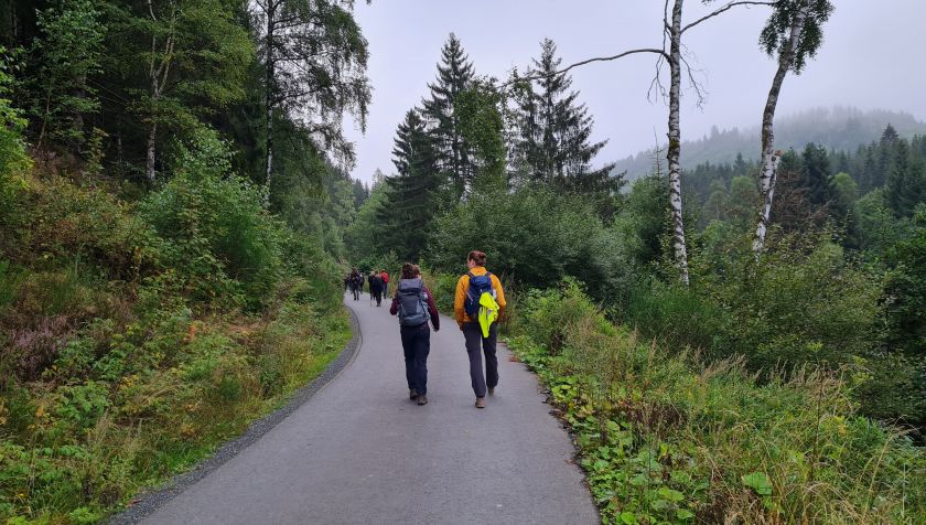 Exkursion in den Harz 2021 (Regionale Geologie und Rohstoffe)