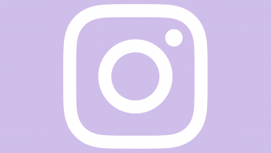 Instagram Icon