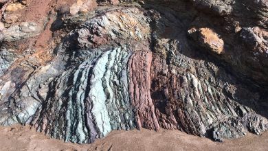 Exposed accretionary wedge